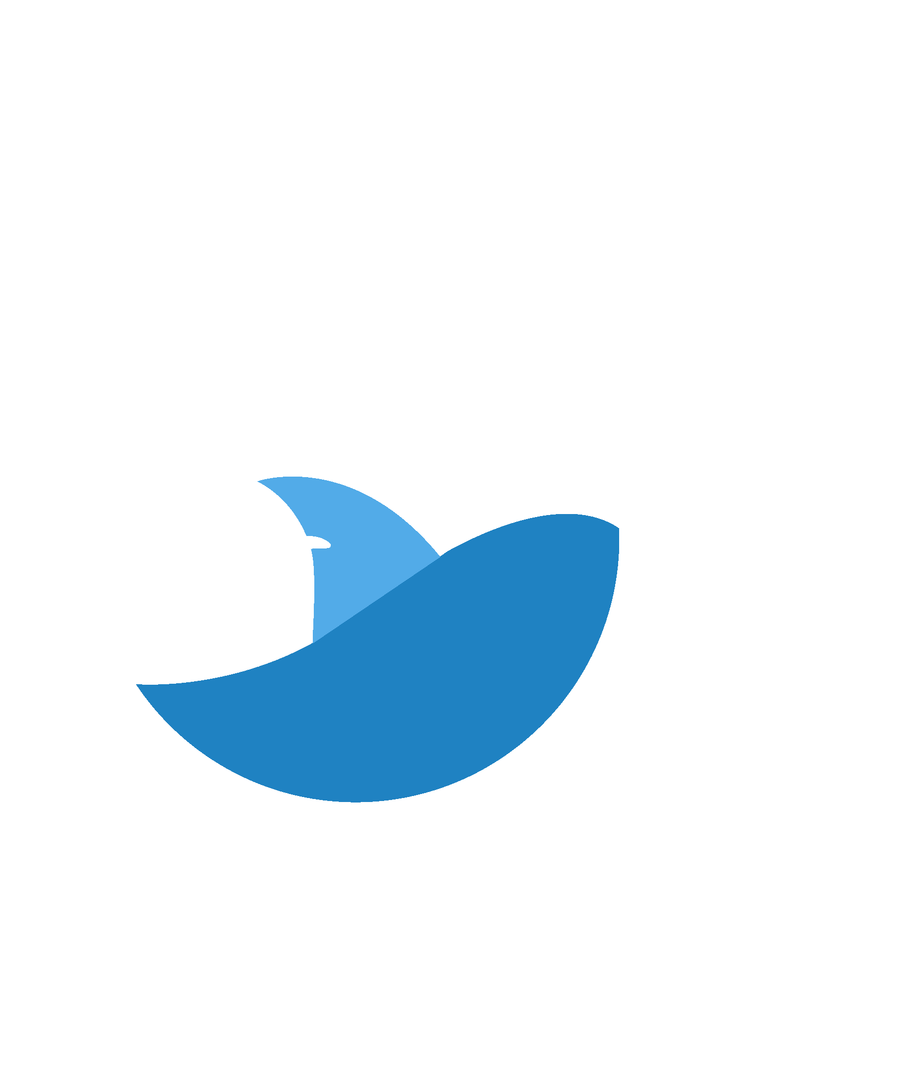 Blue Ocean Digital Media